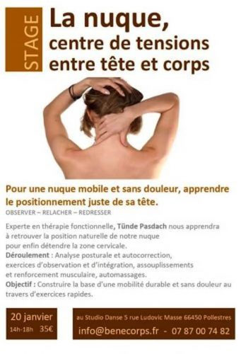 Stages et formations : La nuque
